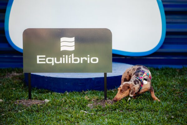 Em Curitiba, a Construtora Equilíbrio inaugurou um espaço pet de uso público para incentivar a convivência no bairro e reforçar a importância da gentileza urbana no dia a dia da cidade. 