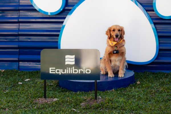 Em Curitiba, a Construtora Equilíbrio inaugurou um espaço pet de uso público para incentivar a convivência no bairro e reforçar a importância da gentileza urbana no dia a dia da cidade. 